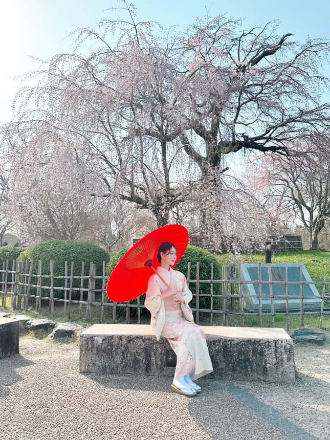 Kyoto: Kimono Rental Traditional Experience at Wargo in Gion - FAQ