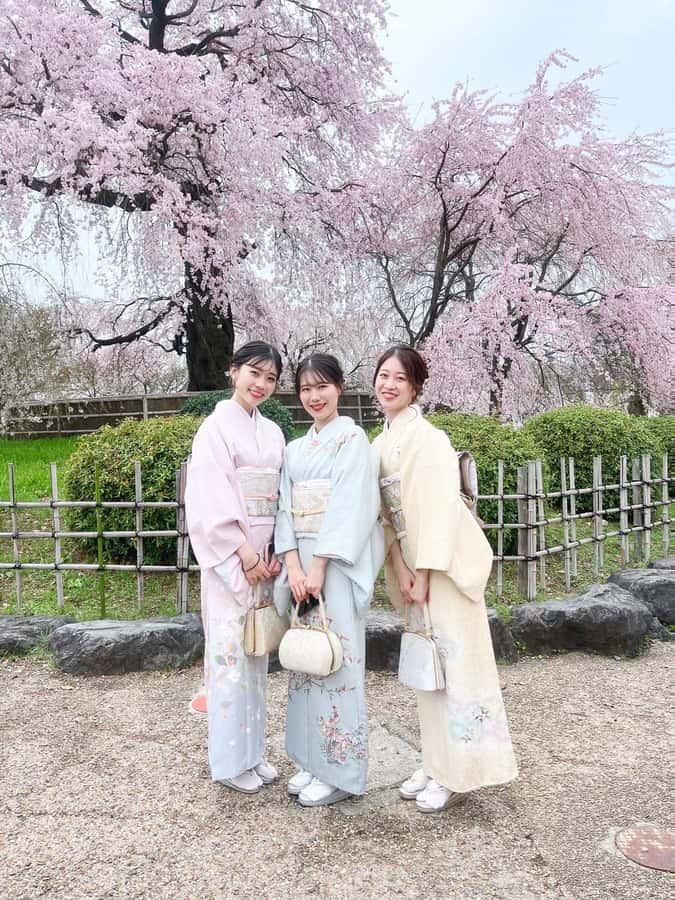 Kyoto: Kimono Rental Traditional Experience at Wargo in Gion - Walking Kyoto in kimono: where the photos actually happen