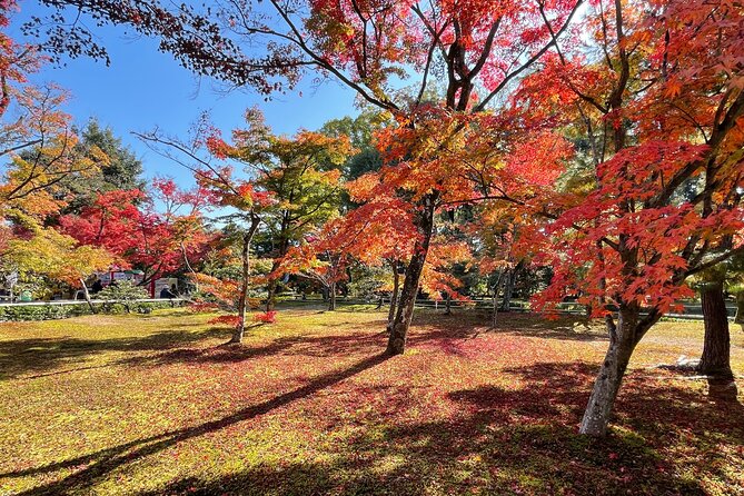 Kyoto: Kinkaku-ji Temple & Serene Garden Guided Tour with Tickets - Why this Kyoto pairing works so well