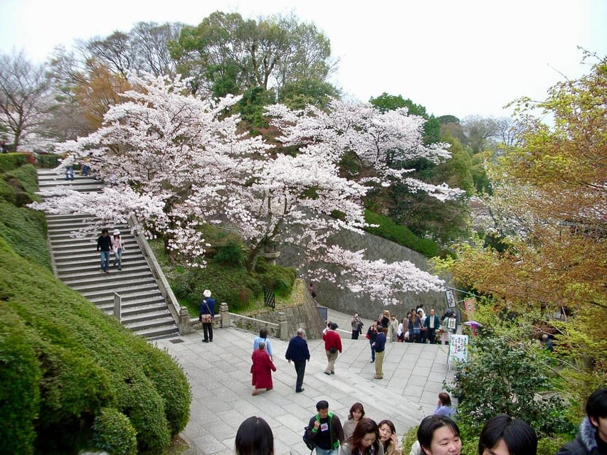Kyoto: Kiyomizudera, Higashiyama and Yasaka Discovery Tour - Sannenzaka, Ninenzaka, and Nene no Michi, the streets that slow you down