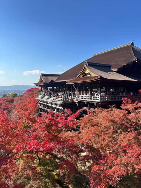 Kyoto: Kiyomizudera, Sanjusangendo, Kodaiji, and Gion. - Starting at Shichijō Station and keeping the day on track