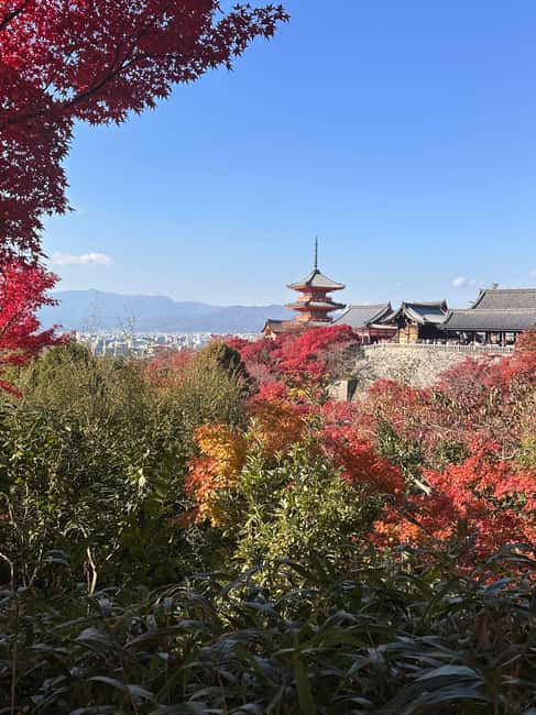 Kyoto: Kiyomizudera, Sanjusangendo, Kodaiji, and Gion. - Sanjusangendo’s 120-meter hall of 1,001 Kannon statues