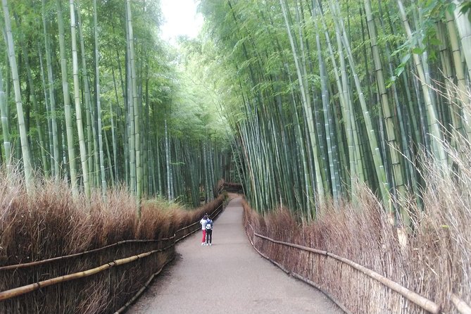 Kyoto Lazy Bird Walking Tour - Stop 3: Fushimi Inari-taisha, torii tunnel without the navigation stress