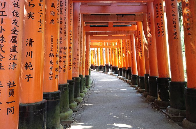 Kyoto Lazy Bird Walking Tour - Getting around, weather, and small comfort details that prevent headaches