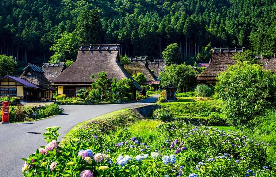 Kyoto: Miyama Village, Amanohashidate & Ine Bay Day Trip - Price and value: $63 buys a lot of structure