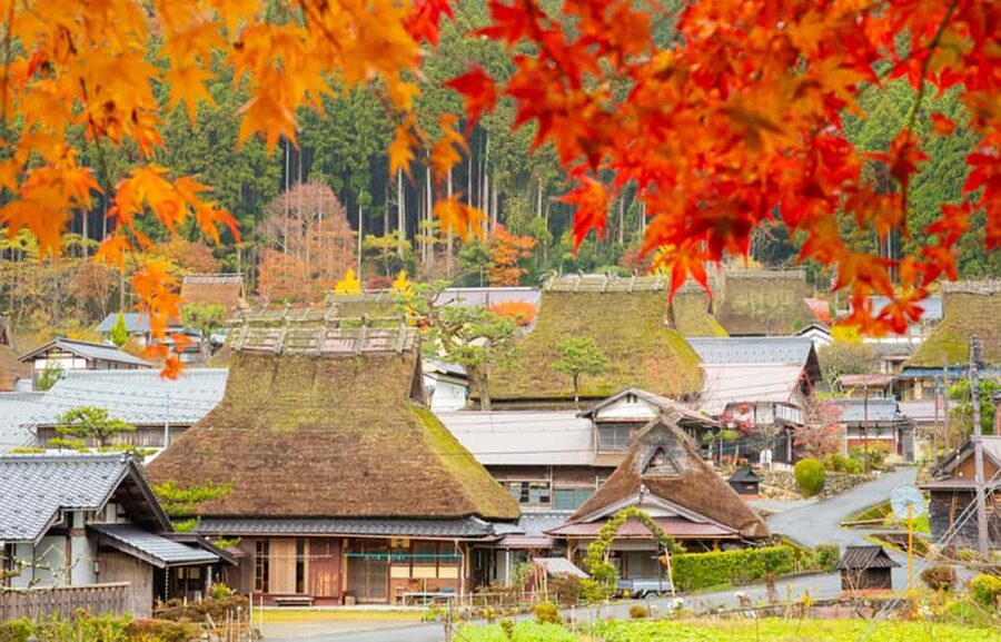 Kyoto: Miyama Village, Amanohashidate & Ine Bay Day Trip - Nipponbashi meet-up: the early start that keeps the day from falling apart