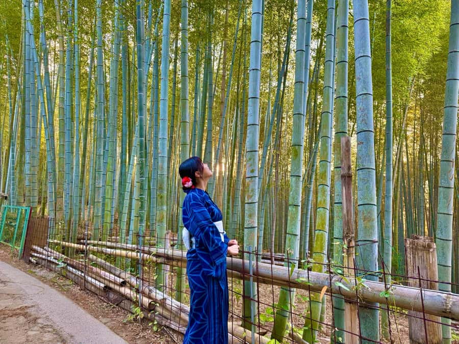 Kyoto Morning Highlights Tour: Fushimi, Kiyomizu-dera & Gion - The photo plan and sweet sample, where the value shows