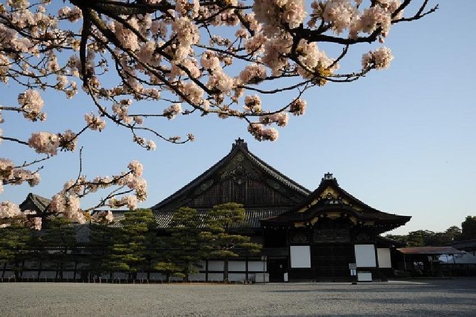 Kyoto Morning Tour from Kyoto or Osaka - The Guide Experience, From Facts to Flow