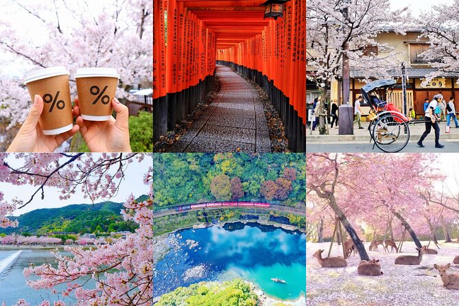 Kyoto-Nara Adventures Private Tour With Hotel Pick Up - Key points before you book