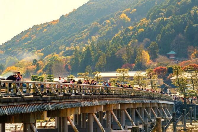 Kyoto & Nara Day Tour: Golden Pavilion, Fushimi Inari & Deer Park - A full-day Kyoto and Nara hit, starting at VIP Villa Namba