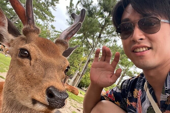 Kyoto & Nara Day Tour: Golden Pavilion, Fushimi Inari & Deer Park - Price and logistics: what $93 really covers, and what you budget for