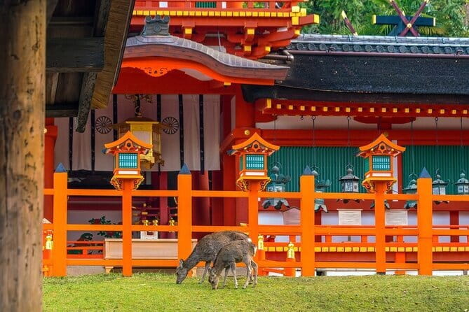 Kyoto & Nara Day Tour: Golden Pavilion, Fushimi Inari & Deer Park - Communication and guide behavior: what I’d watch for