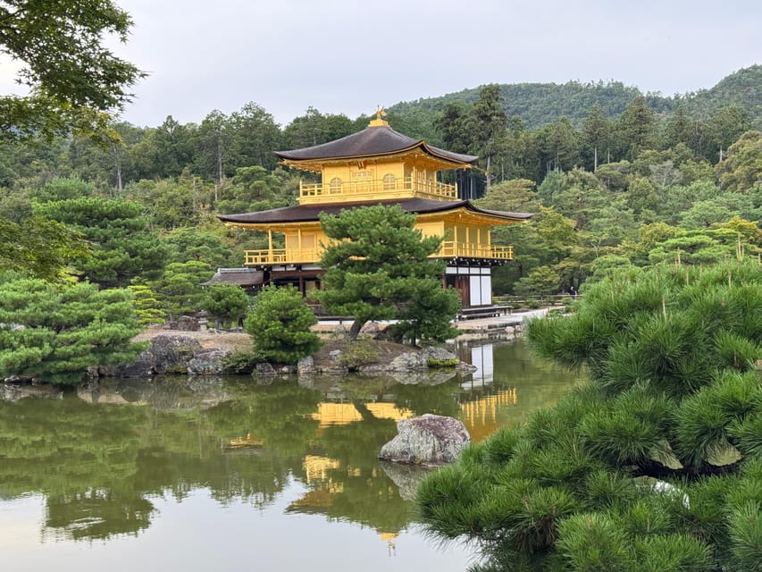 Kyoto & Nara Full Day Customised Tour - Price and value: what you get at $290 per group