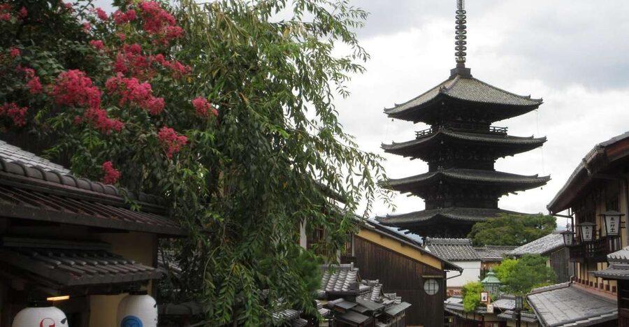 KYOTO-NARA: Giant Buddha Deer Pagoda "Geisya" (Italian, full day) - Gion-kobu and Pontocho: geiko and maiko culture in context