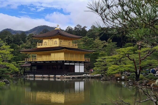 Kyoto&Nara&Osaka: One day private Customized Car tour - Key things to know before you go