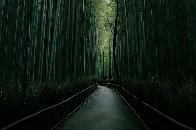 Kyoto&Nara&Osaka: One day private Customized Car tour - WhatsApp Planning and Day-Before Driver Contact (So Your Morning Stays Calm)