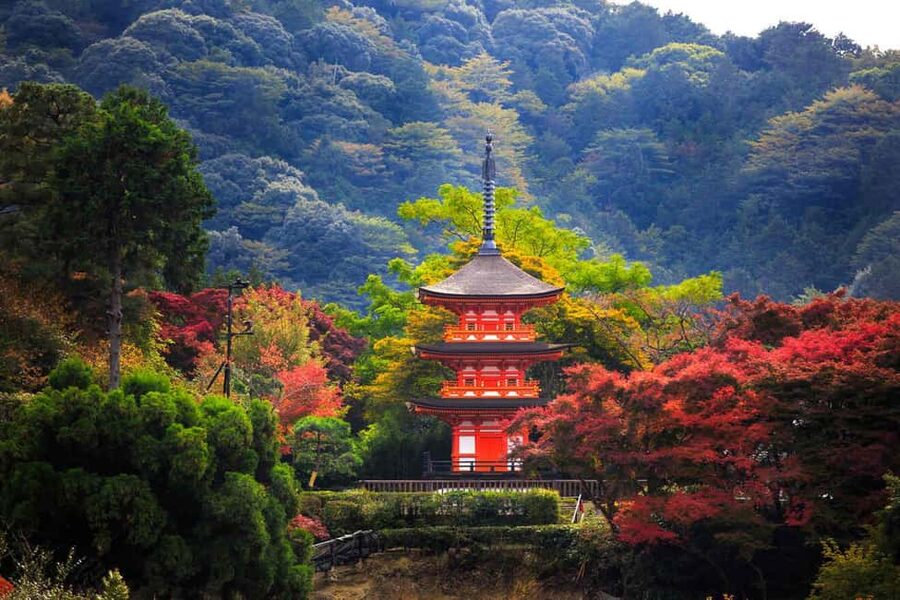 Kyoto & Nara Private Customized, Guided Tour - Arashiyama to Kinkaku-ji: the Kyoto stops that set the tone