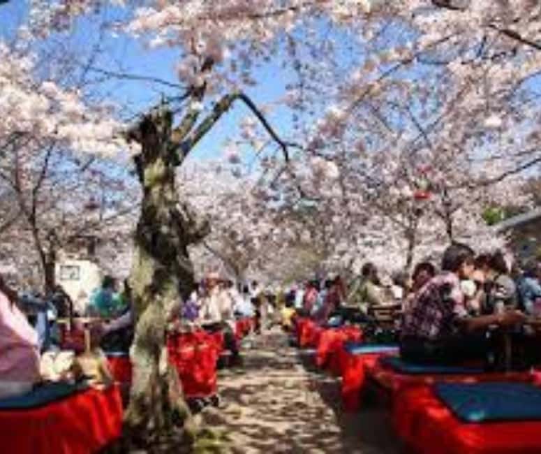 Kyoto & Nara Private Customized, Guided Tour - Fushimi Inari’s shrine corridor and Kiyomizu-dera’s big viewpoint time