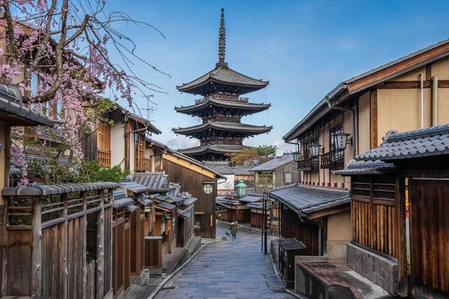 Kyoto & Nara Private Customized, Guided Tour - Nishiki Market: where the guide helps you shop with confidence
