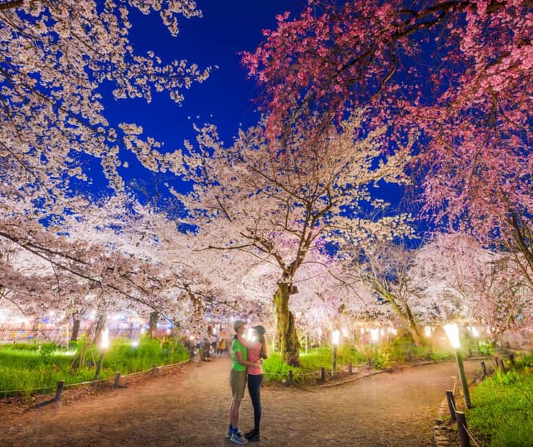 Kyoto & Nara Private Customized, Guided Tour - Nara Park with deer, plus the temple choices you can add