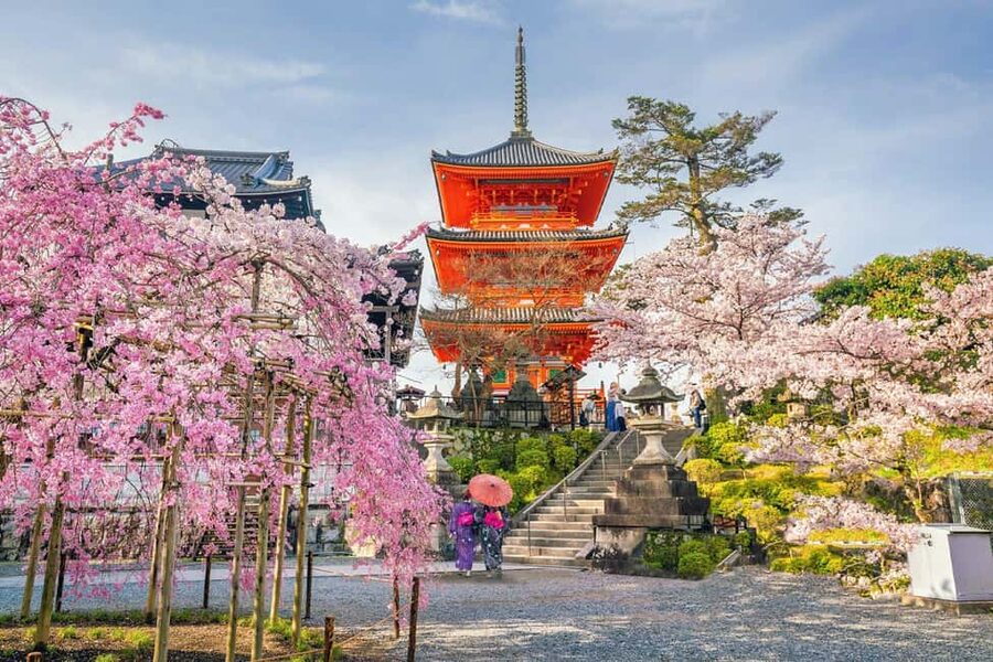 Kyoto & Nara Private Customized, Guided Tour - Pricing, group size, and what you’re really buying