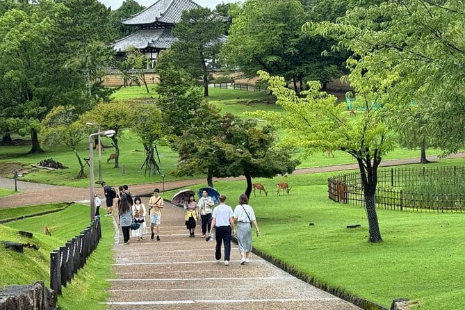Kyoto & Nara Private customized tour with English speaking Guide - Why this Kyoto and Nara private day feels easier