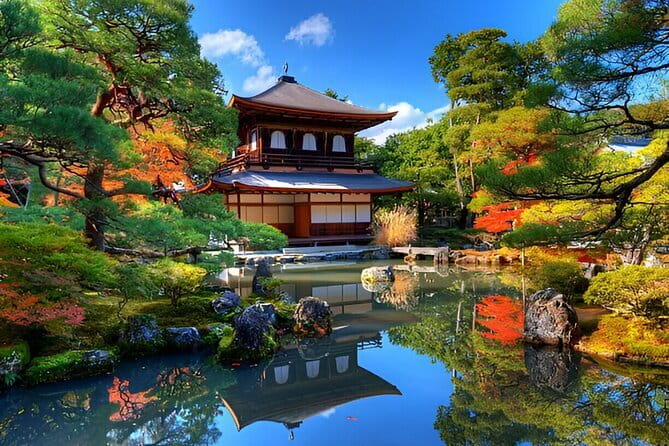 Kyoto & Nara Private Day Tour - Why this Osaka-to-Kyoto-and-Nara day feels efficient