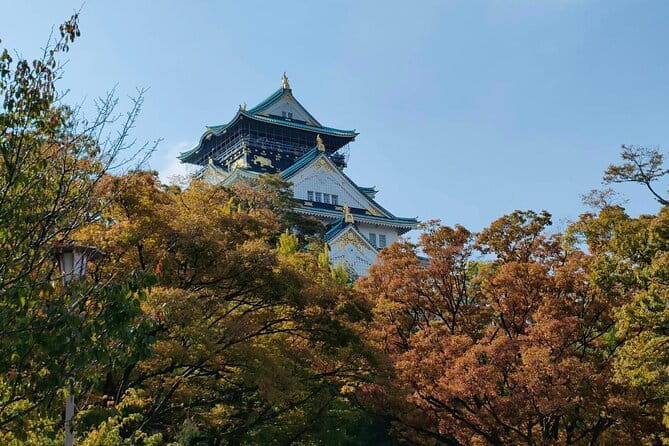 Kyoto & Nara Private Day Tour - Nara Park: deer encounters and the “don’t panic” mindset