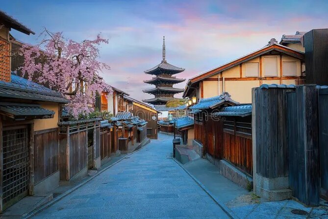 Kyoto & Nara: Private Day Tour by luxury Vehicle & English Guide - Kinkaku-ji Golden Pavilion: Getting Real Value From 45 Minutes
