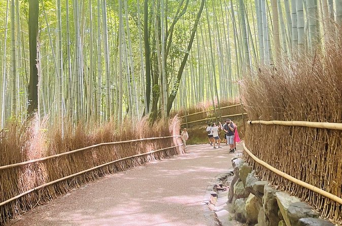 Kyoto & Nara: Private Day Tour by luxury Vehicle & English Guide - Nara Park: Deer Encounters Plus a Step Back in Time (45 Minutes, Free Entry)