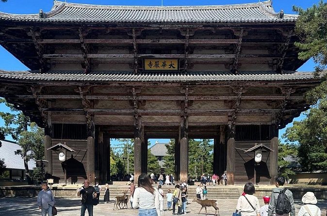 Kyoto & Nara: Private Day Tour by luxury Vehicle & English Guide - Gion District and Temple Fees: What Might Cost Extra