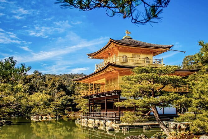 Kyoto&Nara Private Highlights Tour with English driver Pickup - Kinkaku-ji Golden Pavilion: What to Know Before You Go