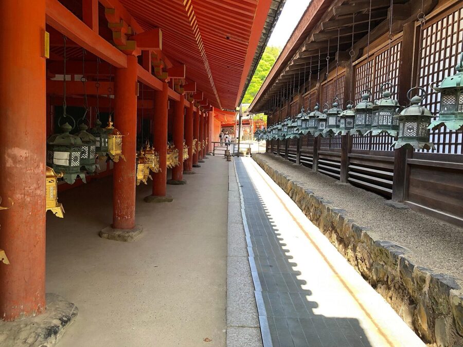 Kyoto: Nara, Todaiji, Kasuga Taisha Shrine Private Full Day - Guide quality is the hidden engine of this day