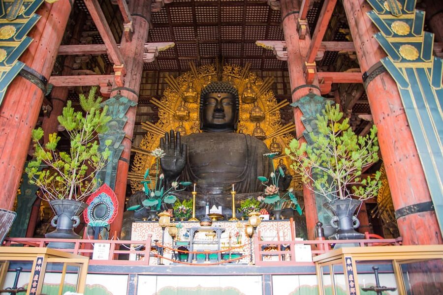 Kyoto: Nara, Todaiji, Kasuga Taisha Shrine Private Full Day - Price and value: what $183 really buys, and what you still plan
