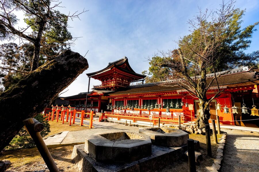 Kyoto: Nara, Todaiji, Kasuga Taisha Shrine Private Full Day - Kōfuku-ji and the Heijo-kyo capital story you can actually use