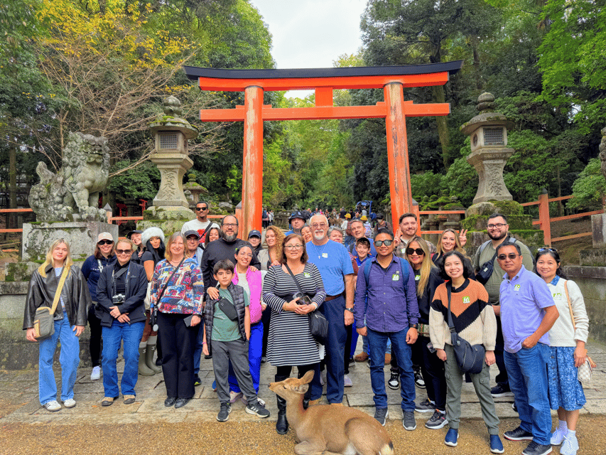 Kyoto: Nara & Traditional Matcha Experience Bus Tour - Key highlights that make this day trip worth it