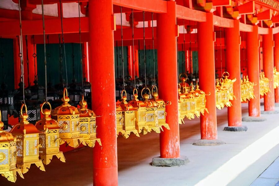 Kyoto: Nara & Traditional Matcha Experience Bus Tour - Price and value: what $122 gets you, and what to budget
