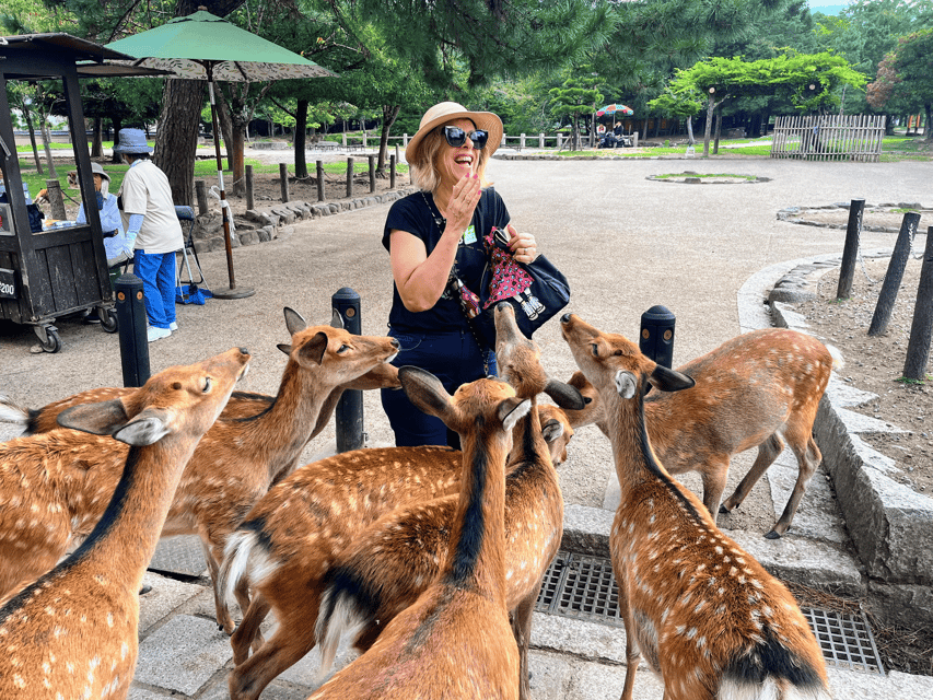 Kyoto: Nara & Traditional Matcha Experience Bus Tour - Meeting at Kyoto Avanti, then settling into coach comfort