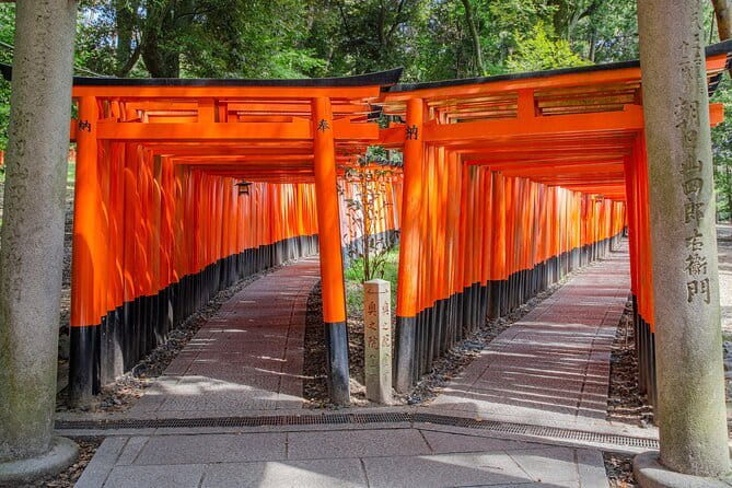 Kyoto & Nara & Uji: Full Day Sightseeing Tour from Osaka or Kyoto - Nara Park and Todai-ji: Deer, Scale, and a Tight Time Window