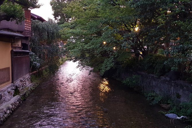 Kyoto Nighttime All-Inclusive Eats and Streets, Gion and Beyond - Food at 7:30: Standing Bars, Small Plates, and Real Choices