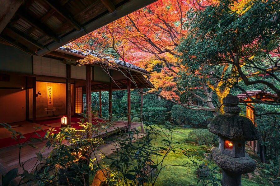 Kyoto: Nighttime Zen Meditation and Matcha Tea Experience - Key Things That Make This Keishunin Night Experience Worth Your Time