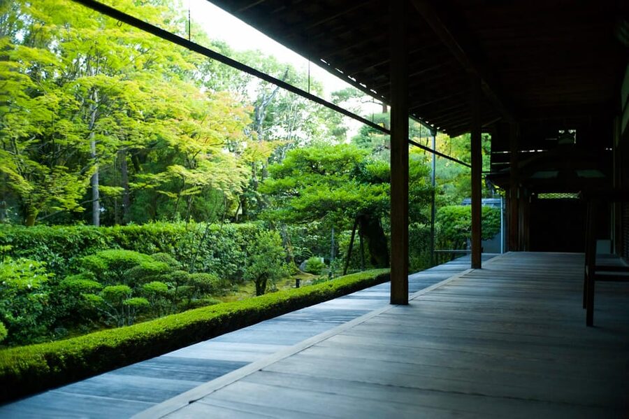 Kyoto: Nighttime Zen Meditation and Matcha Tea Experience - Sehakuan Tea Room and Kano Sansetsu Fusuma Paintings