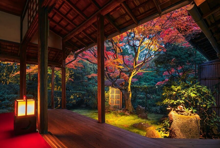 Kyoto: Nighttime Zen Meditation and Matcha Tea Experience - Entering Keishunin: Four Gardens, National Designation, and Lighted Calm