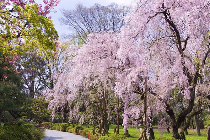 Kyoto: Nijo Castle World Heritage Guided Tour with Admission - Price, Group Size, and the Real Value of Prebooked Entry