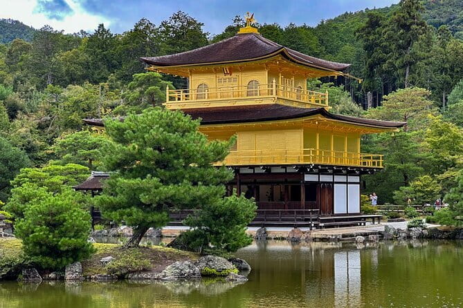 Kyoto: Nijo, Kinkaku-ji, Arashiyama, Kiyomizu & Fushimi Inari - Arashiyama Bamboo Grove early access, when the photos actually look good