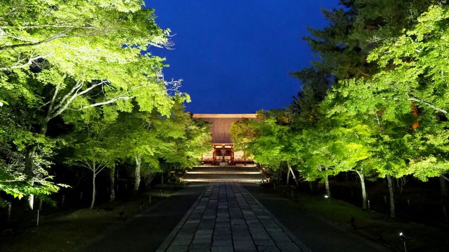 Kyoto: Ninnaji Temple Entry Ticket - Timing and Practical Notes That Prevent Frustration