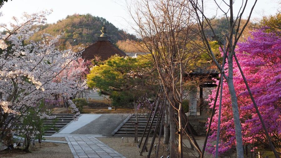 Kyoto: Ninnaji Temple Entry Ticket - What You’ll Actually Get for Your $5
