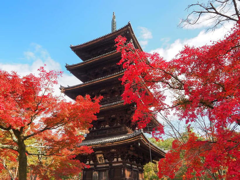 Kyoto: Ninnaji Temple Entry Ticket - Omuro Sakura and the Five-Story Pagoda: Your Must-See Sequence
