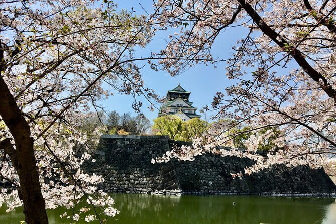 Kyoto One Day Sightseeing Tour from Osaka or Kyoto - Stop 2: Senbon Torii at Fushimi Inari, red gates and steady walking