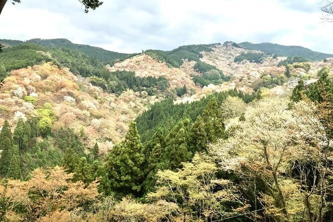 Kyoto One Day Sightseeing Tour from Osaka or Kyoto - Stop 8: Kinkaku-ji Golden Pavilion in a tight 40-minute window